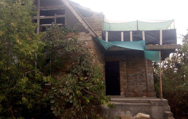 В Херсонской области обнаружили посев конопли на почти млн гривен